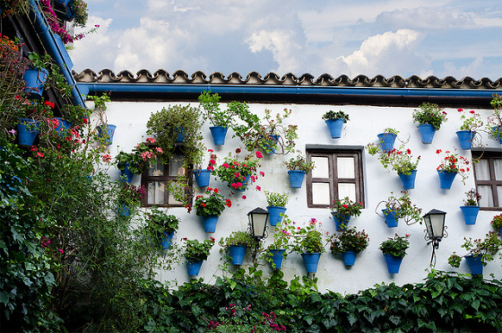 PATIOS CORDOBESES