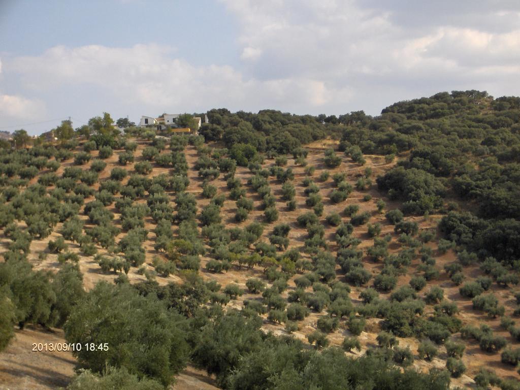 EMPLAZAMIENNTO SIERREZUELA RURAL